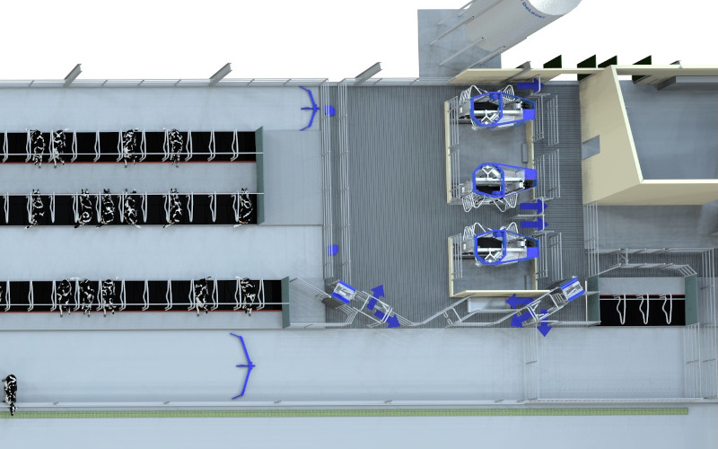 System ruchu kierowanego krów w robocie udojowym DeLaval VMS